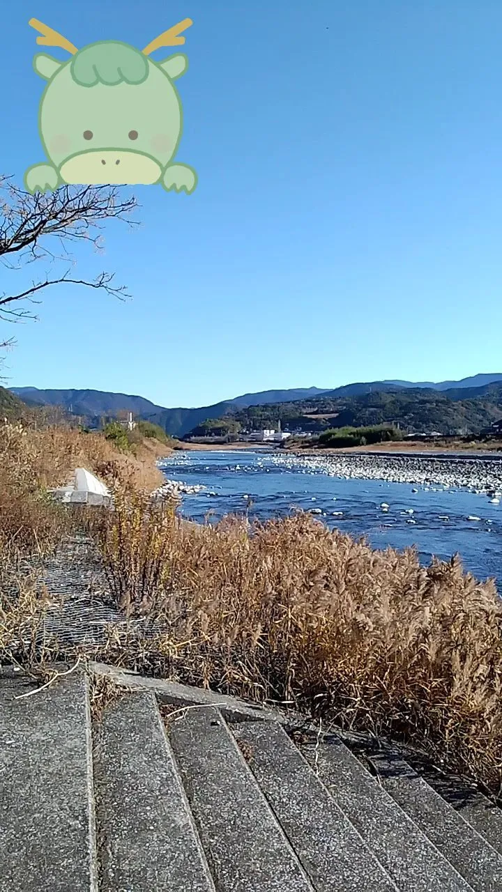 明けましておめでとうございます🎍